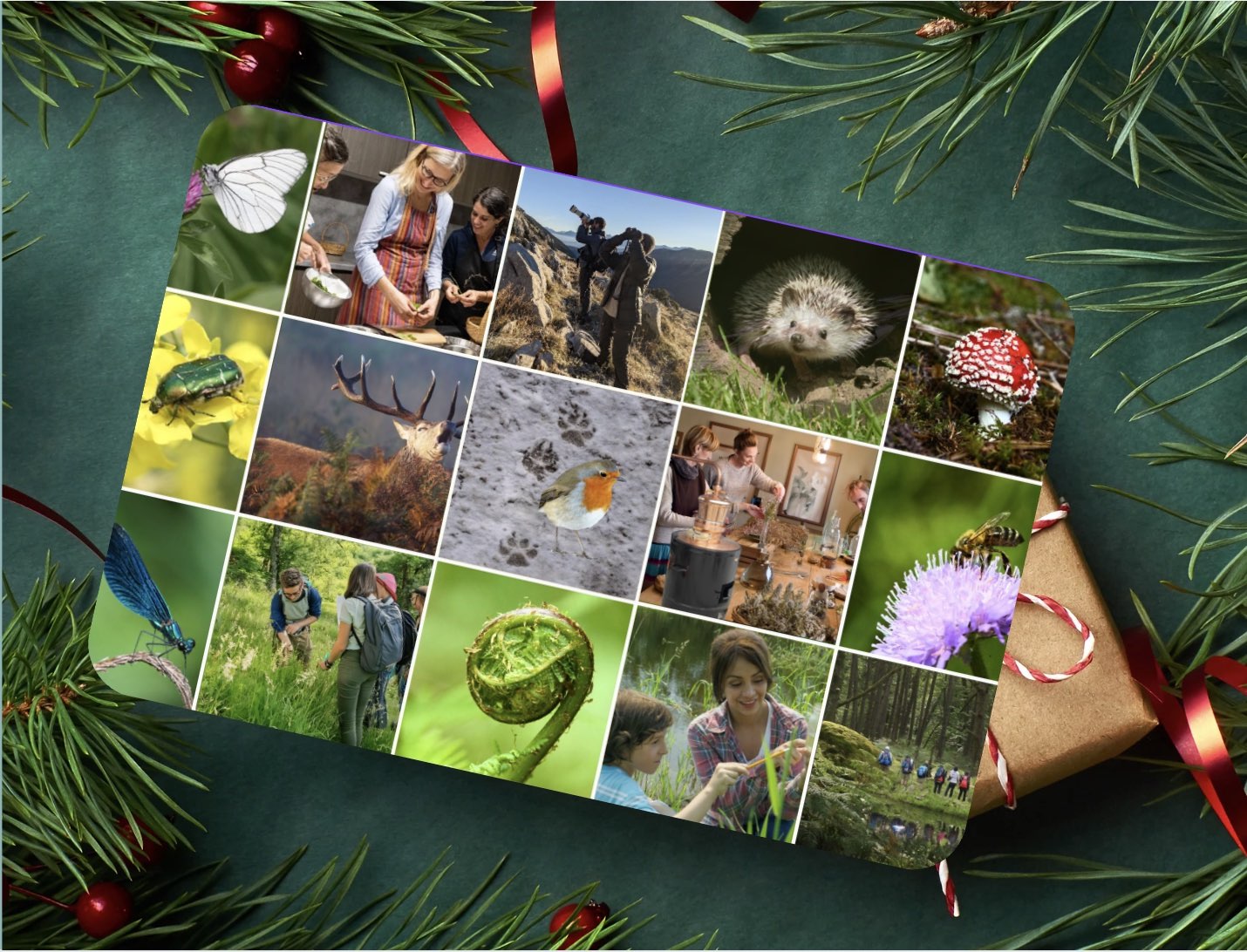 Carte Cadeau EcoNature avec collage de photos nature