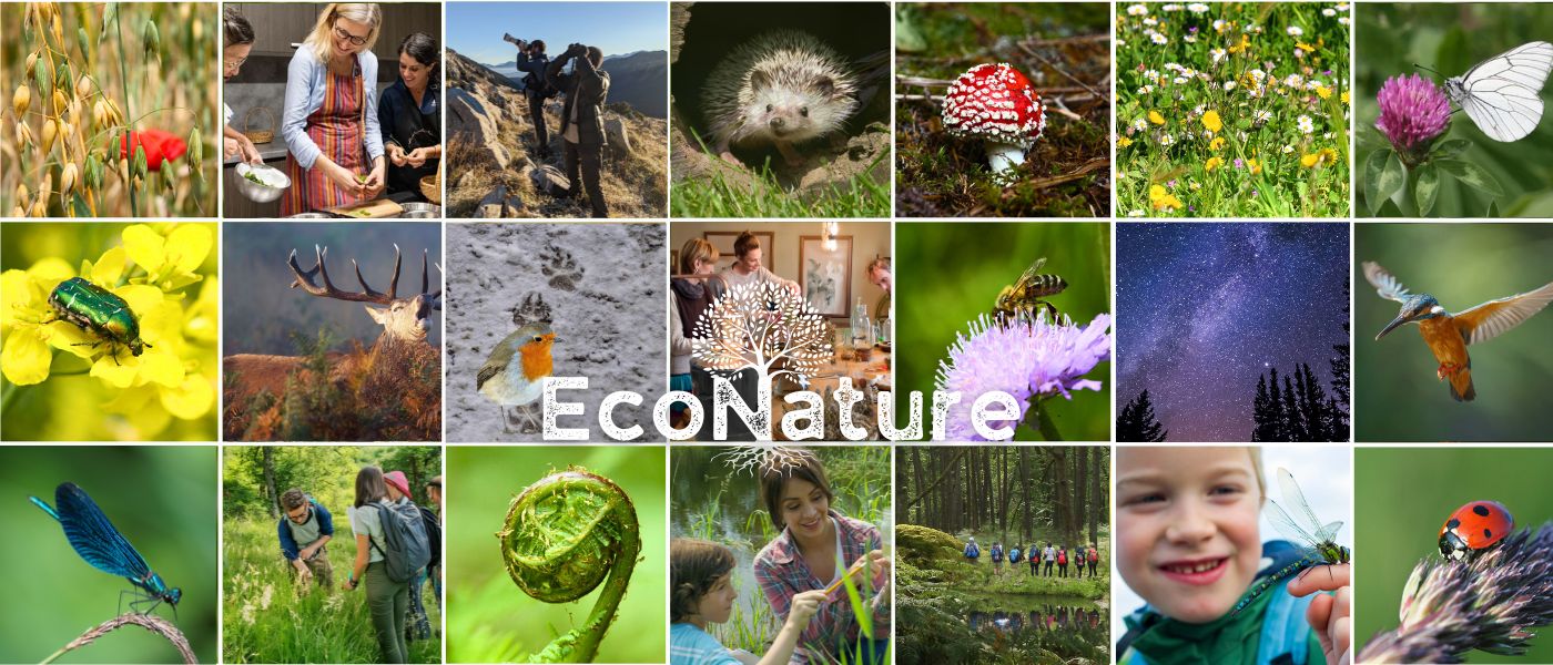 EcoNature, des activités d'éducation à la nature